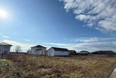 Teren de 734 mp, în Păulești - 5