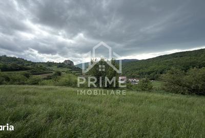 Teren de 4000 mp, în Cricău