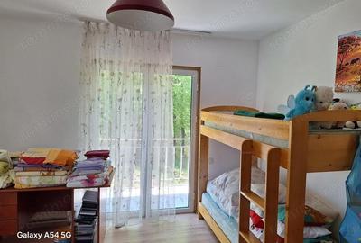 Casă cu 5 camere cu Teren 6242 Mp în Gura Beliei - 7