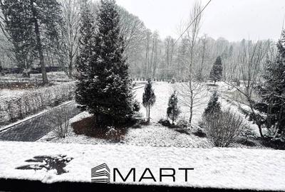 Casă individuală cu 6 camere cu Teren 2000 Mp în Central - 3