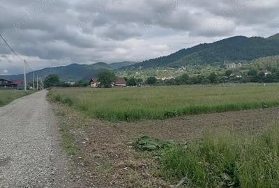 Teren de 3000 mp, în Central - 5