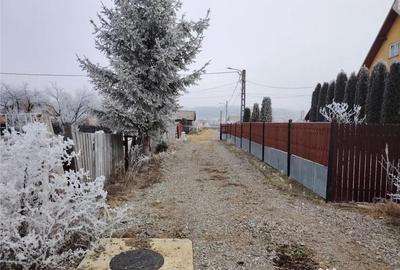 Casă cu 3 camere cu Teren 1690 Mp în Toplița - 15