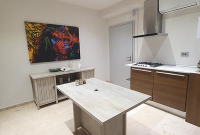 Vanzare Vila Iancu Nicolae/ British School - 4