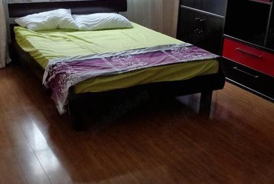 Garsonieră decomandată în Nicolina - 2