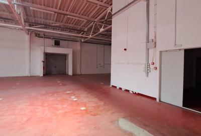 Spatiu ideal Cash&Carry Afumati - 5