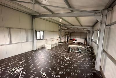 Spațiu industrial, de 550 mp, în Theodor Pallady - 4