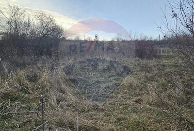 Teren de 2500 mp, în Odobești