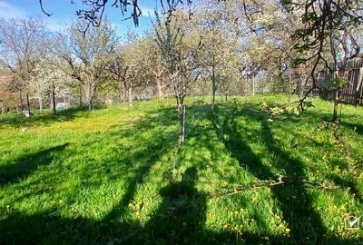 Casă individuală cu 5 camere cu Teren 800 Mp în Ardeova - 28