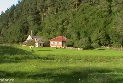 Casa batraneasca si teren - 1