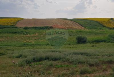 Teren agricol intravilan de 300000 mp, în Stroiești - 12