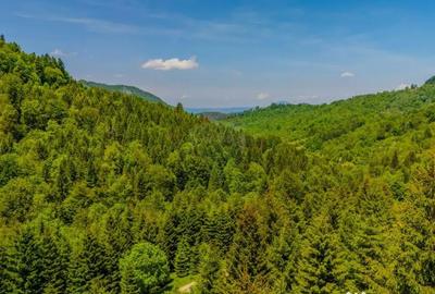 Teren de 14400 mp, în Cheile Râșnoavei