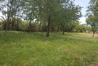 Teren de 1500 mp, în Păulești - 2