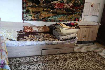 Casă cu 5 camere cu Teren 2200 Mp în Seaca - 6