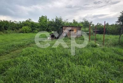 Casă individuală cu 2 camere cu Teren 1000 Mp în Gura Ocniței - 4