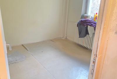 Lacul Tei  Teiul Doamnei  Colentina - 14