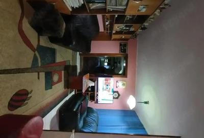 Casă cu 4 camere cu Teren 722 Mp în Aradului - 4