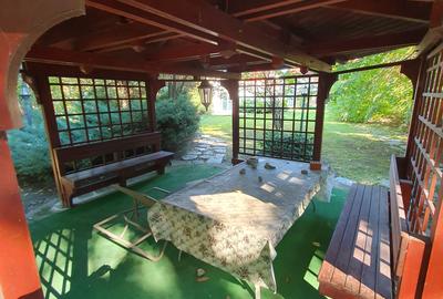 Vila S+P+1+M 650mp Paradisul Verde libera Vezi VIDEO - 3