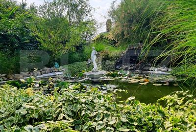 Casa individuala, 5 camere, Su=160mp, St=1070mp, Dumbravita - Casa Bunicii Casa individuala, 5 camere, Su=160mp, St=1070mp, Dumbravita - Casa Bunicii - 5