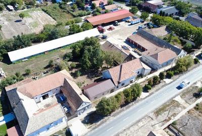 Casă cu 3 camere cu Teren 669 Mp în Cenad - 8