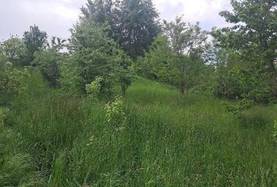 Teren de 4034 mp, în Văleni-Dâmbovița - 2
