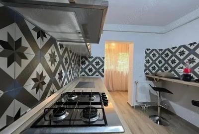 Apartament cu 1 camera in Tatarasi-Doi Baieti - 7