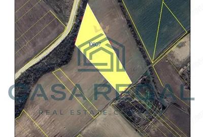 Teren extravilan Oradea, Episcopia Bihor, zona strazii Santaului - 4