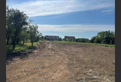 Teren 5318mp, De vânzare, Târgu-Jiu - 3