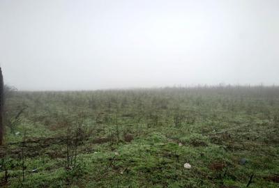 Teren de 6600 mp, în Vânători - 3