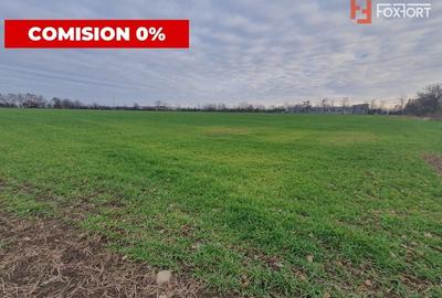 Comision 0% Teren extravilan agricol 21,32 ha sau intravilan cu PUZ aprobat - 1