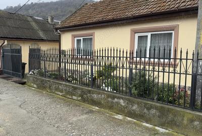 Vand casa in Moldova Noua - 4