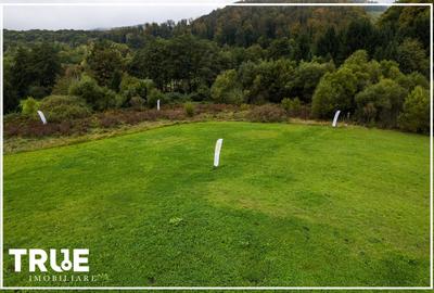 Teren intravilan Câmpul Cetății 2600m? - zonă de vacanță Teren intravilan Câmpul Cetății 2600m? - zonă de vacanță - 5