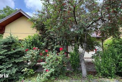 Casă cu 3 camere cu Teren 935 Mp în Central - 5