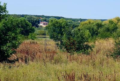 Teren 6.600mp cu deschidere la lac - zona centrala Corbeanca Teren 6.600mp cu deschidere la lac - zona centrala Corbeanca - 4