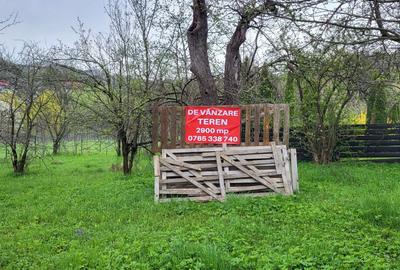 Teren de 2900 mp, în Rădășeni - 6