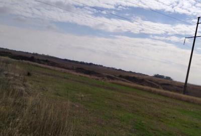 Teren intravilan zona Damila, 800 mp cu deschidere de 40m - 5