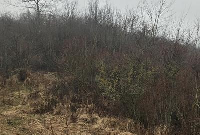 Teren în Central - 3