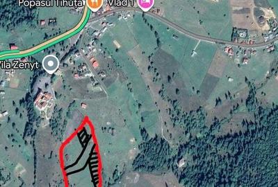 Teren de 3300 mp, în Piatra - 1