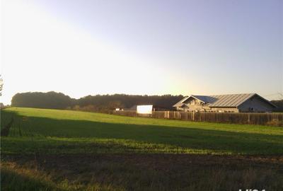 Teren de 4100 mp, în Tâncăbești - 3