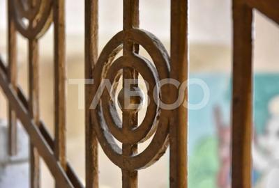 Vila interbelica isi asteapta cu speranta tacuta noul proprietar - 6