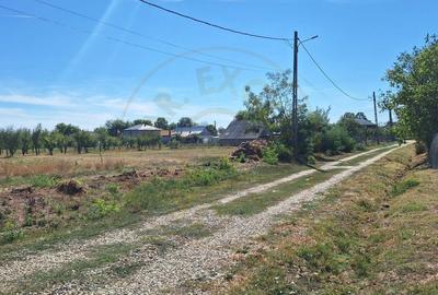 Teren de vanzare – 1500 mp, Brosteni, jud. Arges - 1