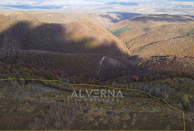 OPORTUNITATE | Teren intravilan | 34.625 mp | Plopi - Valea Ierii - 7