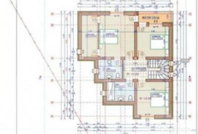 Casă cu 4 camere cu Teren 300000 Mp în Trivale - 2