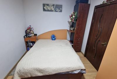 Apartament cu 2 camere semidecomandat, mobilat în Brazda lui Novac - 5