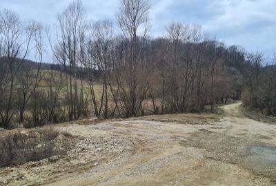 Spațiu comercial, în Bascov - 5