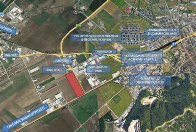 Teren Construcții intravilan de 119200 mp, în Sud - 4