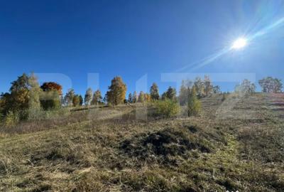 Teren de 9575 mp, în Central - 2