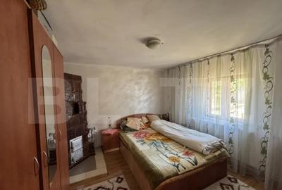 Casă cu 4 camere cu Teren 13000 Mp în Primăverii - 8