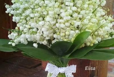 Apartament cu 2 camere nedecomandat în Podu Roș - 1