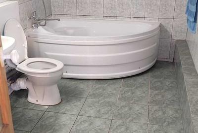 Casă cu 4 camere cu Teren 1619 Mp în Certeju de Sus - 3