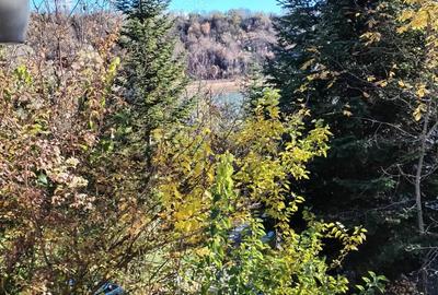 De Vanzare Casa Campina - 2